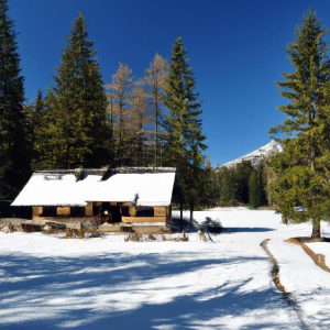 dom turysty zakopane