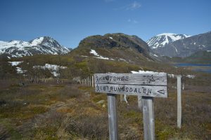 waluta w Norwegii